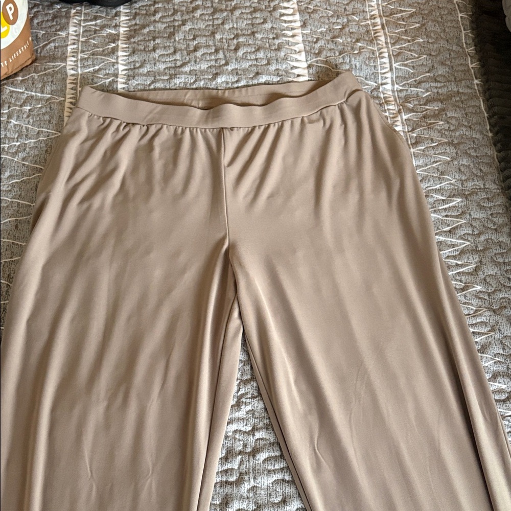Susan Graver Classic Tan Women's Trousers